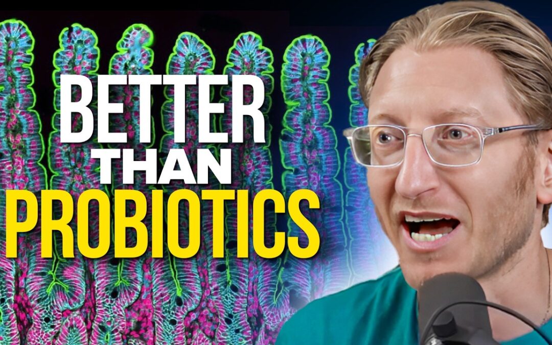 Neuroscientist Reveals How to Repair Gut Health without Probiotics – Dr ...